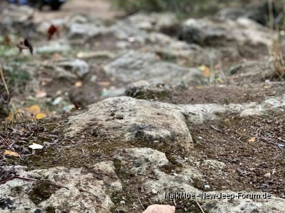 Offroad in Bauschheim