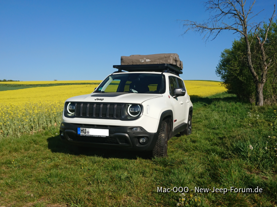 Kleine Ausfahrt ins grüne bzw ins gelbe ^^​