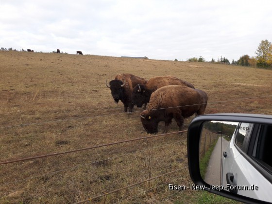 xxxxxxxxxxxxxxxxxxxxxxxxxxxxxxx