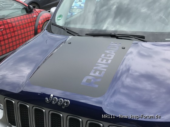 Neue und endgültige Version des Blendschutzes