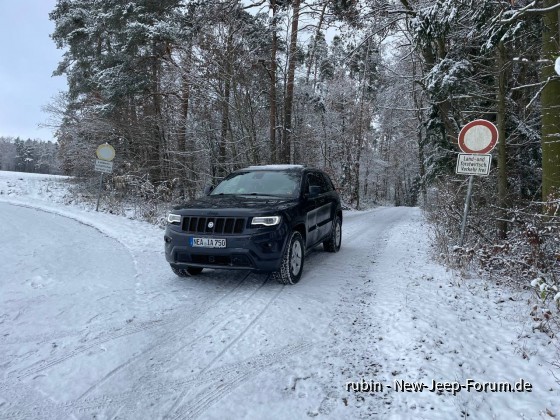 Von draußen, vom Walde komm ich her... - 2023