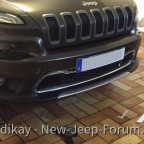 Nummernschildhalterung vorne - Vorbau entfernen