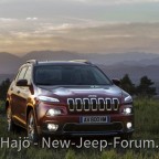 JEEP Cherokee 2014