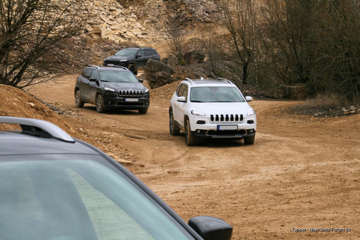 2016-03-26 Langenaltheim (8)