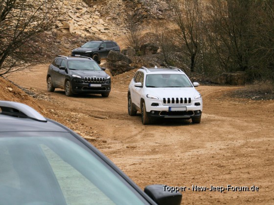 2016-03-26 Langenaltheim (8)