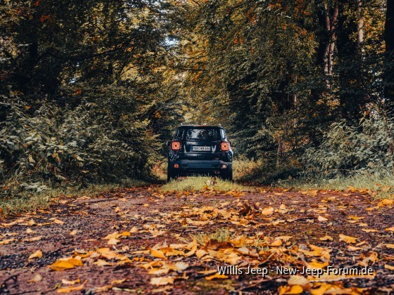 Nochmal mein Jeepchen fotografiert