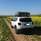 Kleine Ausfahrt ins grüne bzw ins gelbe ^^