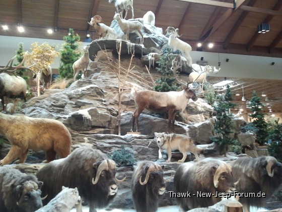 Cabela's