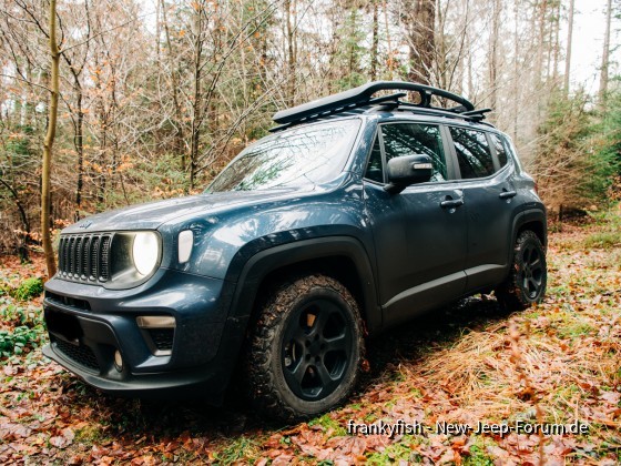 Spätherbst Spaziergang