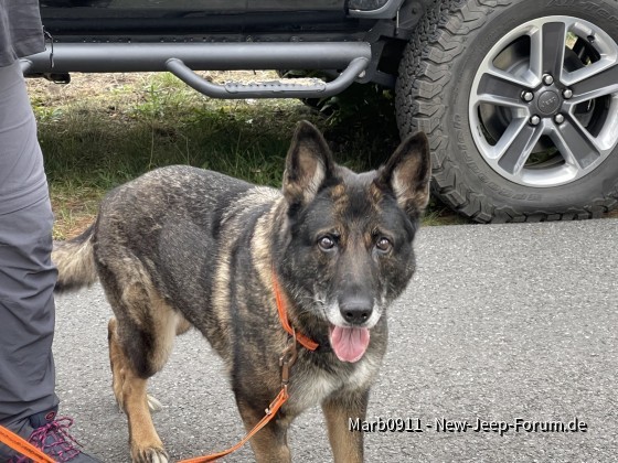Ist sie nicht schön? Und der Wagen im Hintergrund erst . . .