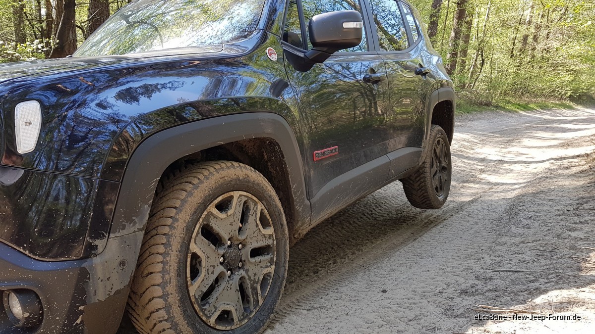 Fürsten Forest - 20.04.19