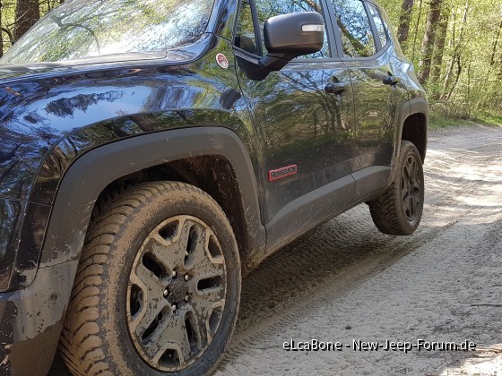 Fürsten Forest - 20.04.19