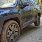 Fürsten Forest - 20.04.19