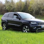 Posing im Grünen :-) 2.