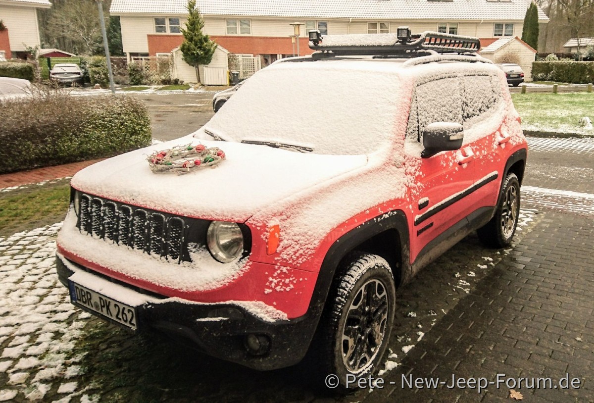 Puderzucker am Omaha Orange