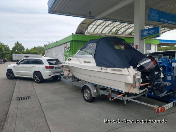 2 Säufer an der Tränke