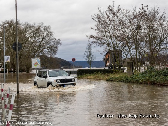 Upland im Rheinhochwasser
