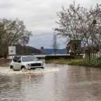 Upland im Rheinhochwasser