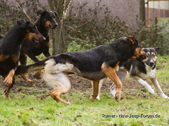 2016-12-10_13-57-34_3873