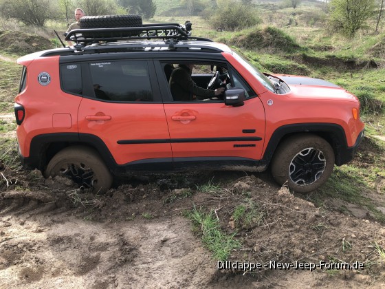 Jeep Training Ballenstedt