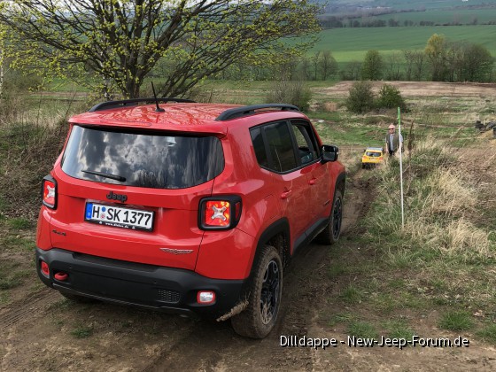 Jeep Training Ballenstedt