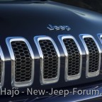 Kühlergrill Modell 2014