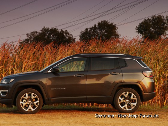 Eleganter Abenteurer