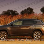 Eleganter Abenteurer