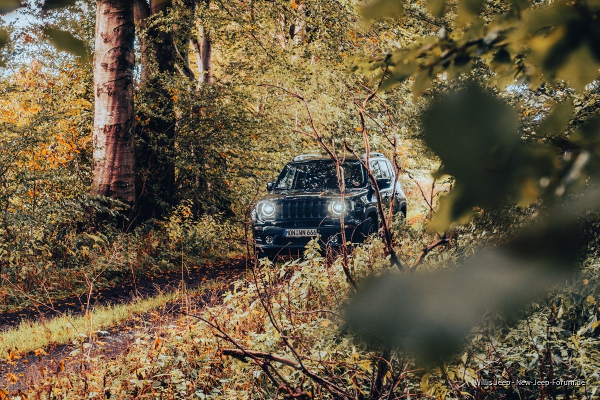 Nochmal mein Jeepchen fotografiert