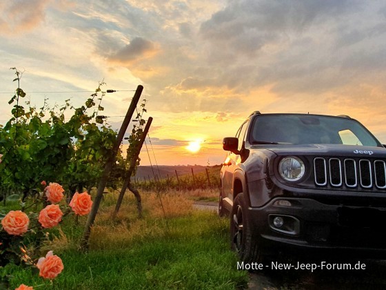 fränkisches Weinland