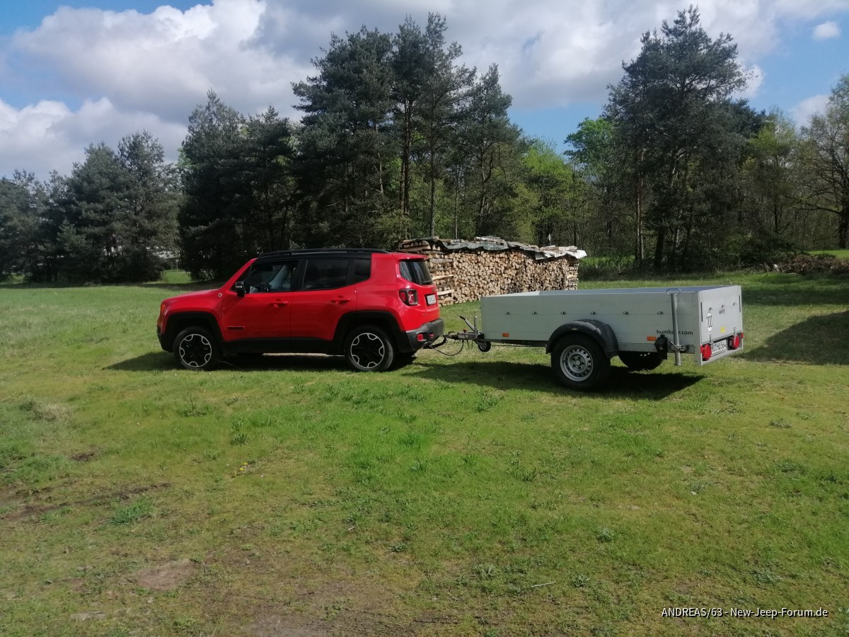 Mal meiner als Gespann.