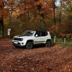 Schwarz weiß im Wald.