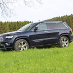 Posing im Grünen :-)