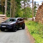 Holz wäre dann mal genügend da.