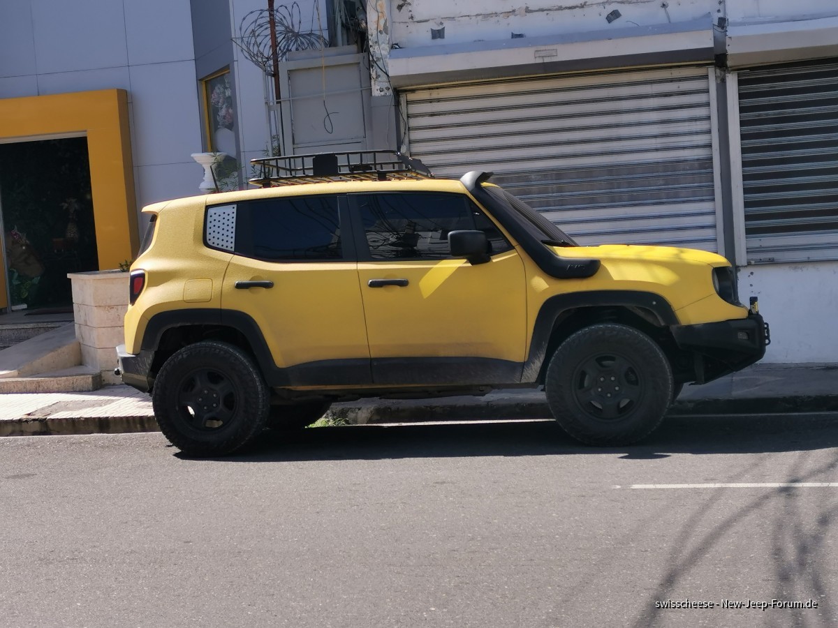 ein Renny in Santiago de los Caballeros, Dom.Rep.