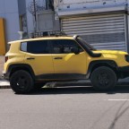 ein Renny in Santiago de los Caballeros, Dom.Rep.