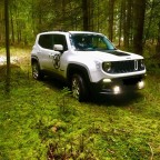 Heute mal wieder Artgerecht bewegt