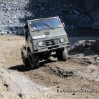 freies Fahren - Pinzgauer bei artgerechter Haltung