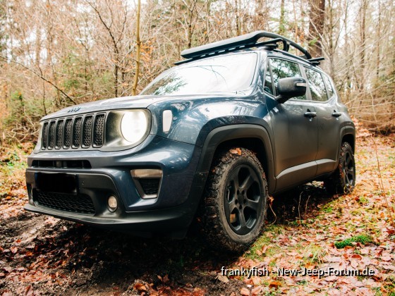 Spätherbst Spaziergang