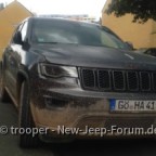 Artgerechte Bodenhaltung