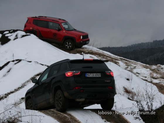 Lavagrube Birresborn NJF Treffen im November 2021