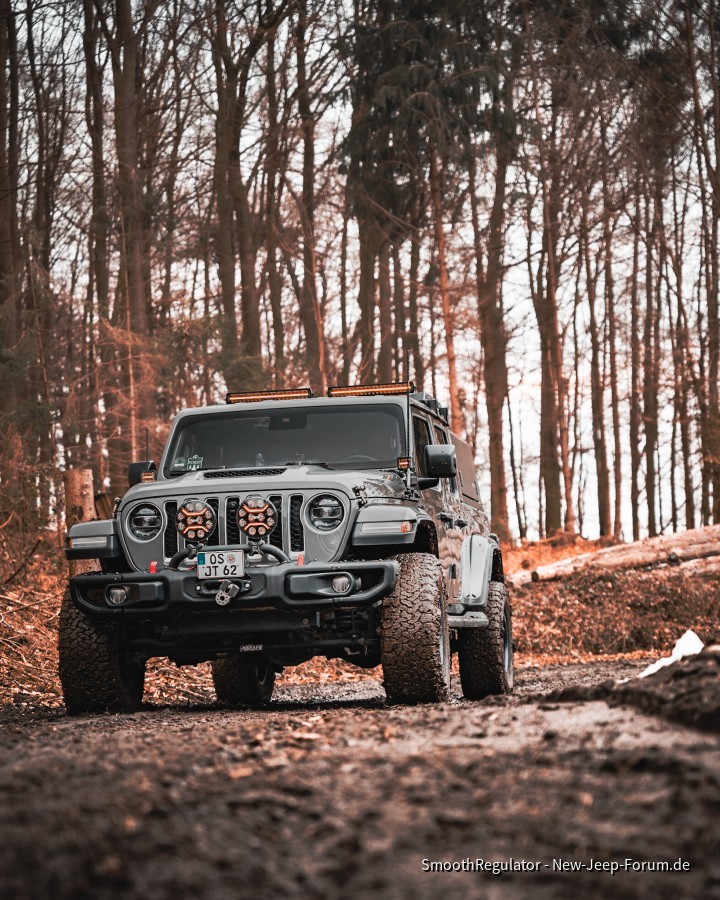 Endlich mal wieder ein Hauch von Sonnenschein