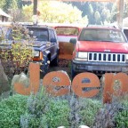 My GC visiting his ancestors