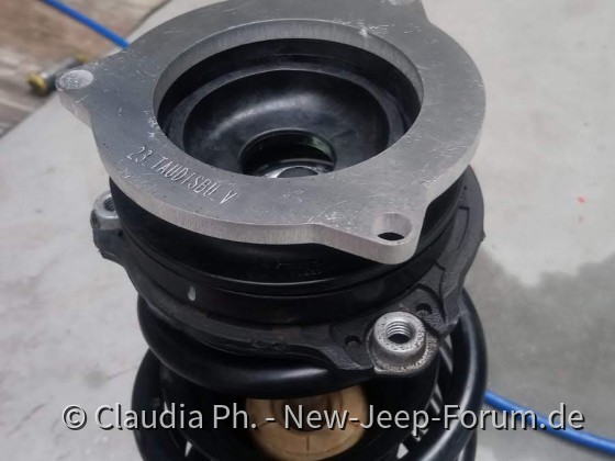 Tau erreuther Federn