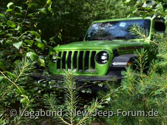 Auf der Pirsch im Brabant