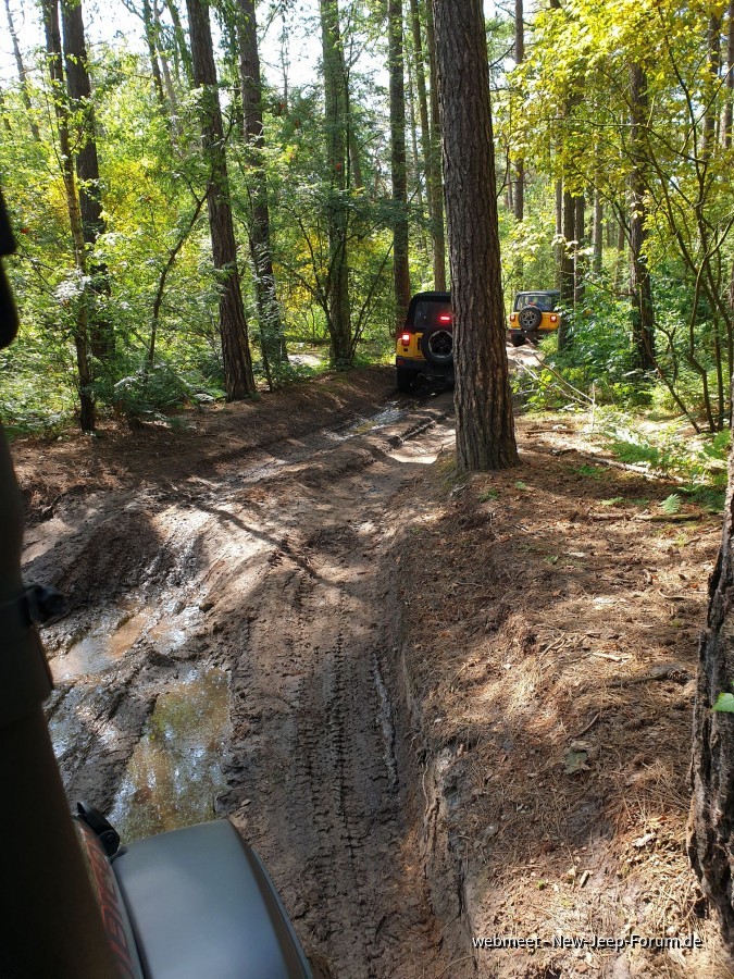Jeep Experience - LandsArd / Dutch Everglades 23.07.22