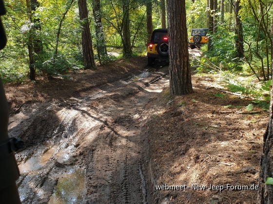 Jeep Experience - LandsArd / Dutch Everglades 23.07.22