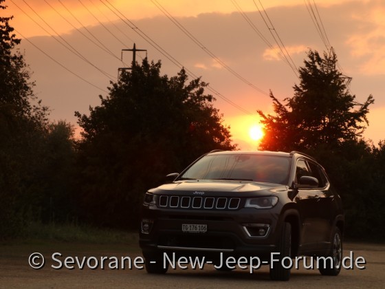 Eleganter Abenteurer