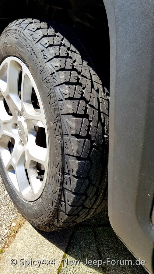 Falken AT01 für meinen Renny