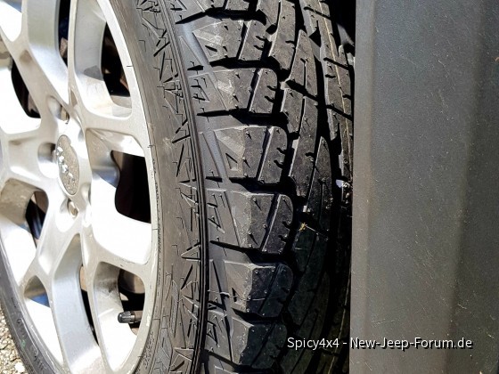 Falken AT01 für meinen Renny